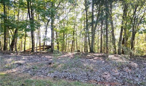 Photo #14 of 232 Sierra Trace, Denton, NC 8.5 acres