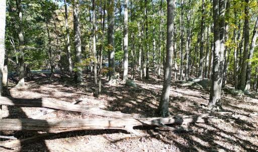 Photo #15 of 232 Sierra Trace, Denton, NC 8.5 acres