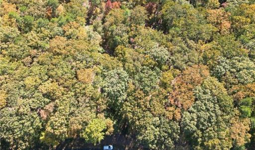 Photo #11 of 232 Sierra Trace, Denton, NC 8.5 acres