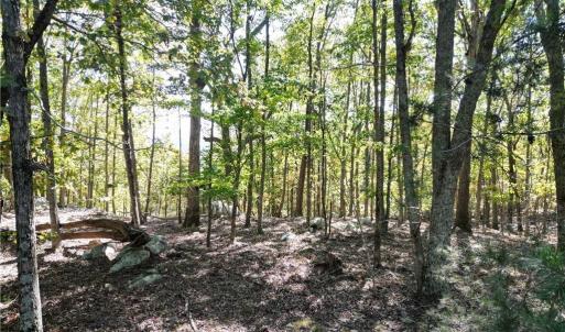 Photo #8 of 232 Sierra Trace, Denton, NC 8.5 acres