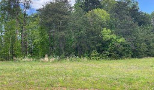 Photo #6 of 1350 Grant Haven, High Point, NC 1.0 acres