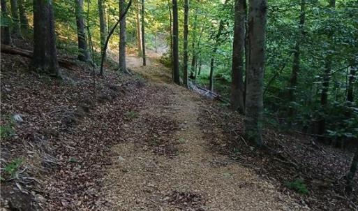 Photo #7 of 387 Egret, Lexington, NC 5.8 acres