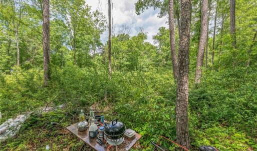 Photo #23 of 1514 Falcon, Gibsonville, NC 0.2 acres