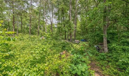 Photo #17 of 1514 Falcon, Gibsonville, NC 0.2 acres