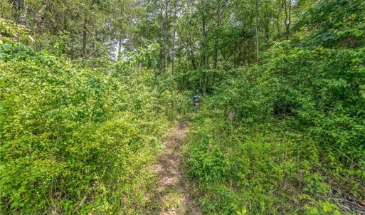 Photo #16 of 1514 Falcon, Gibsonville, NC 0.2 acres