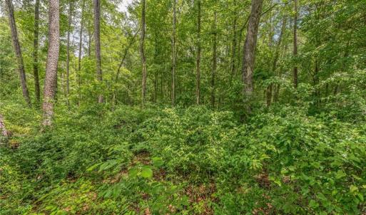 Photo #22 of 1514 Falcon, Gibsonville, NC 0.2 acres
