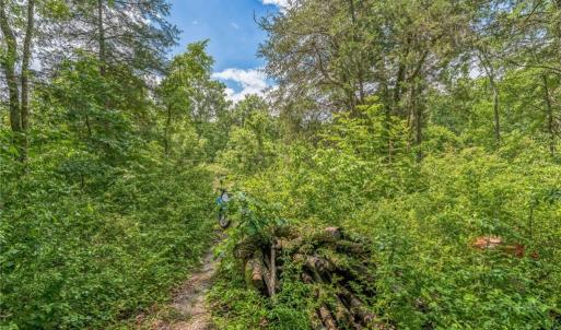 Photo #18 of 1514 Falcon, Gibsonville, NC 0.2 acres