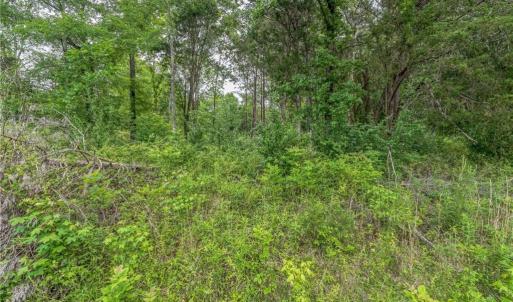 Photo #15 of 1514 Falcon, Gibsonville, NC 0.2 acres
