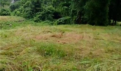 Photo #6 of 1409 Winston, Lexington, NC 2.1 acres