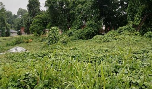 Photo #3 of 1409 Winston, Lexington, NC 2.1 acres