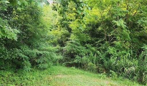 Photo #3 of 180 Buccaneer, Salisbury, NC 1.4 acres