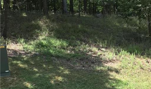 Photo #6 of 1919 Rocky Cove, Denton, NC 3.0 acres