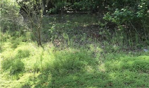 Photo #5 of 1919 Rocky Cove, Denton, NC 3.0 acres