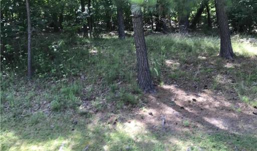 Photo #4 of 1919 Rocky Cove, Denton, NC 3.0 acres