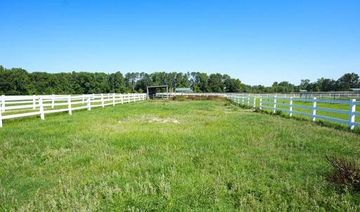 Photo #46 of 9167 Hasty, Laurinburg, NC 278.4 acres