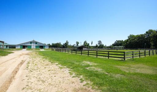 Photo #30 of 9167 Hasty, Laurinburg, NC 278.4 acres