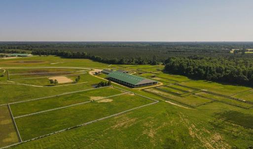 Photo #41 of 9167 Hasty, Laurinburg, NC 278.4 acres