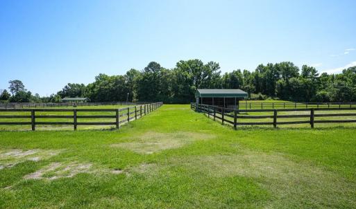 Photo #31 of 9167 Hasty, Laurinburg, NC 278.4 acres