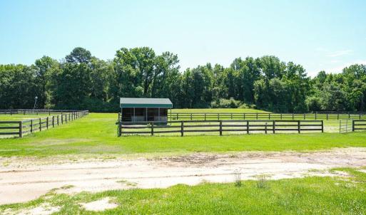 Photo #29 of 9167 Hasty, Laurinburg, NC 278.4 acres