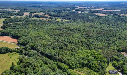 Photo #2 of Blanch, Blanch, NC 116.7 acres