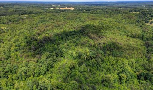 Photo #6 of Blanch, Blanch, NC 116.7 acres