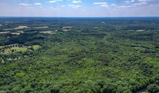 Photo #3 of Blanch, Blanch, NC 116.7 acres