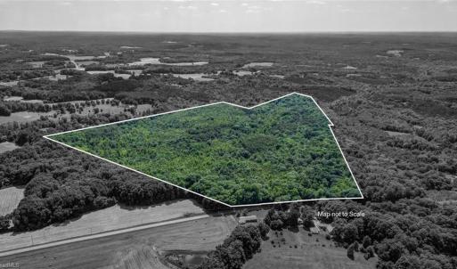 Photo #1 of Blanch, Blanch, NC 116.7 acres