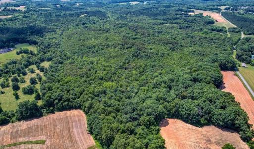 Photo #4 of Blanch, Blanch, NC 116.7 acres