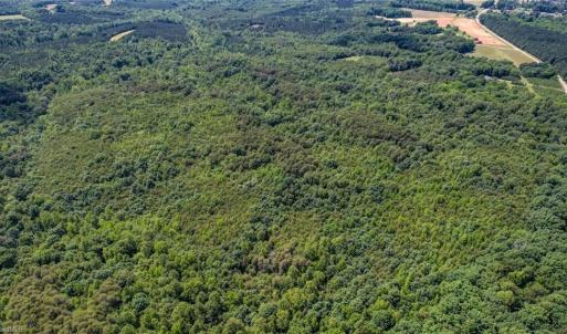 Photo #5 of Blanch, Blanch, NC 116.7 acres