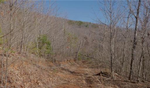 Photo #23 of 337 Goat House, Lambsburg, VA 210.0 acres