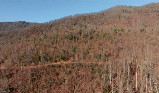 Photo #6 of 337 Goat House, Lambsburg, VA 210.0 acres