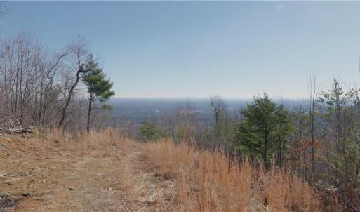 Photo #17 of 337 Goat House, Lambsburg, VA 210.0 acres