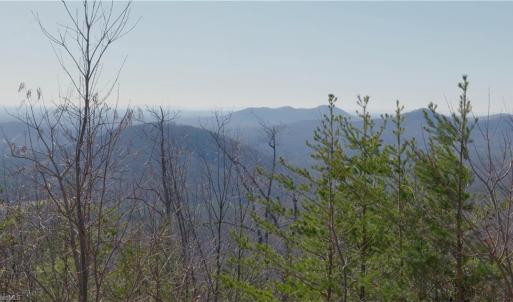 Photo #16 of 337 Goat House, Lambsburg, VA 210.0 acres