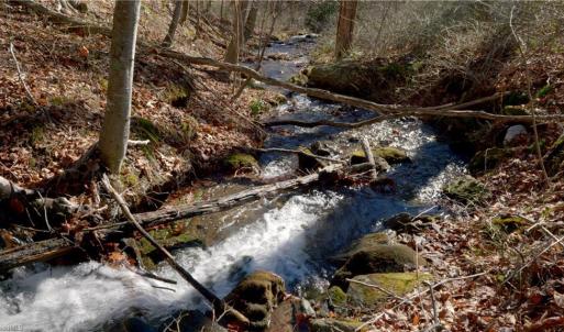 Photo #26 of 337 Goat House, Lambsburg, VA 210.0 acres