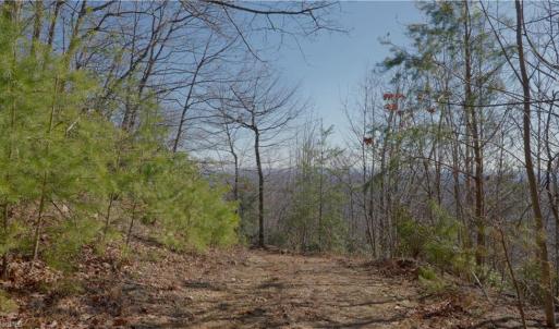 Photo #22 of 337 Goat House, Lambsburg, VA 210.0 acres