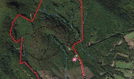 Photo #36 of 337 Goat House, Lambsburg, VA 210.0 acres
