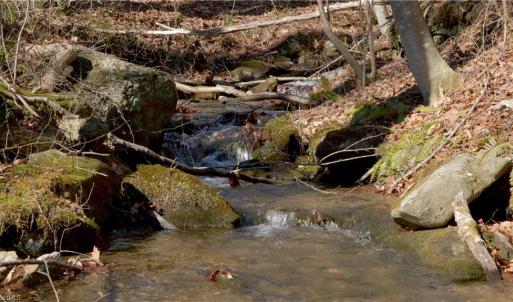 Photo #28 of 337 Goat House, Lambsburg, VA 210.0 acres