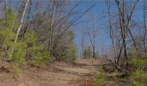 Photo #20 of 337 Goat House, Lambsburg, VA 210.0 acres