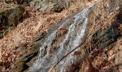 Photo #24 of 337 Goat House, Lambsburg, VA 210.0 acres