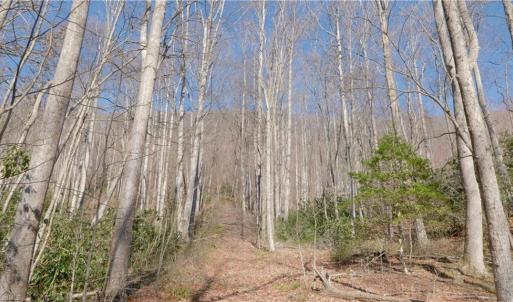 Photo #30 of 337 Goat House, Lambsburg, VA 210.0 acres