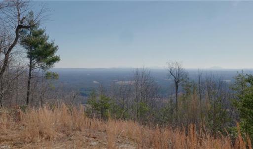 Photo #14 of 337 Goat House, Lambsburg, VA 210.0 acres