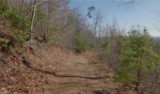 Photo #18 of 337 Goat House, Lambsburg, VA 210.0 acres