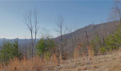 Photo #15 of 337 Goat House, Lambsburg, VA 210.0 acres