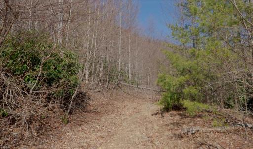 Photo #19 of 337 Goat House, Lambsburg, VA 210.0 acres