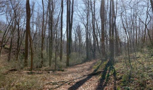 Photo #31 of 337 Goat House, Lambsburg, VA 210.0 acres