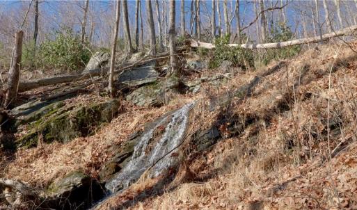 Photo #25 of 337 Goat House, Lambsburg, VA 210.0 acres