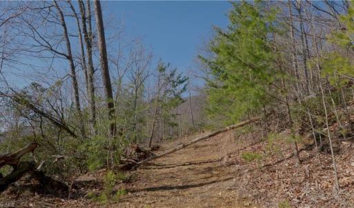 Photo #21 of 337 Goat House, Lambsburg, VA 210.0 acres