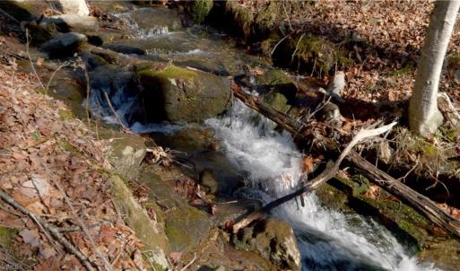 Photo #27 of 337 Goat House, Lambsburg, VA 210.0 acres