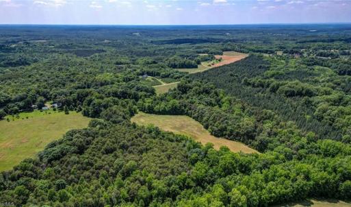 Photo #13 of Blanch, Blanch, NC 27.7 acres