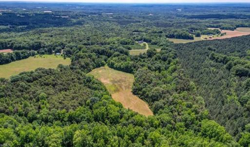 Photo #12 of Blanch, Blanch, NC 27.7 acres